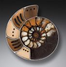 Handmade Silver Moroccan Ammonite Fossil Pin, Mammoth Ivory Jewelry - <b>From an Ancient Sea</b>