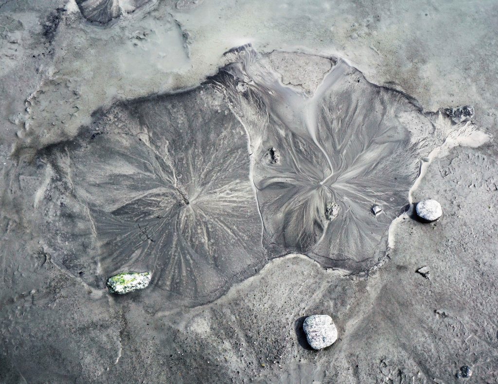 Matanuska Glacier mud blooms, Zealandia Designs